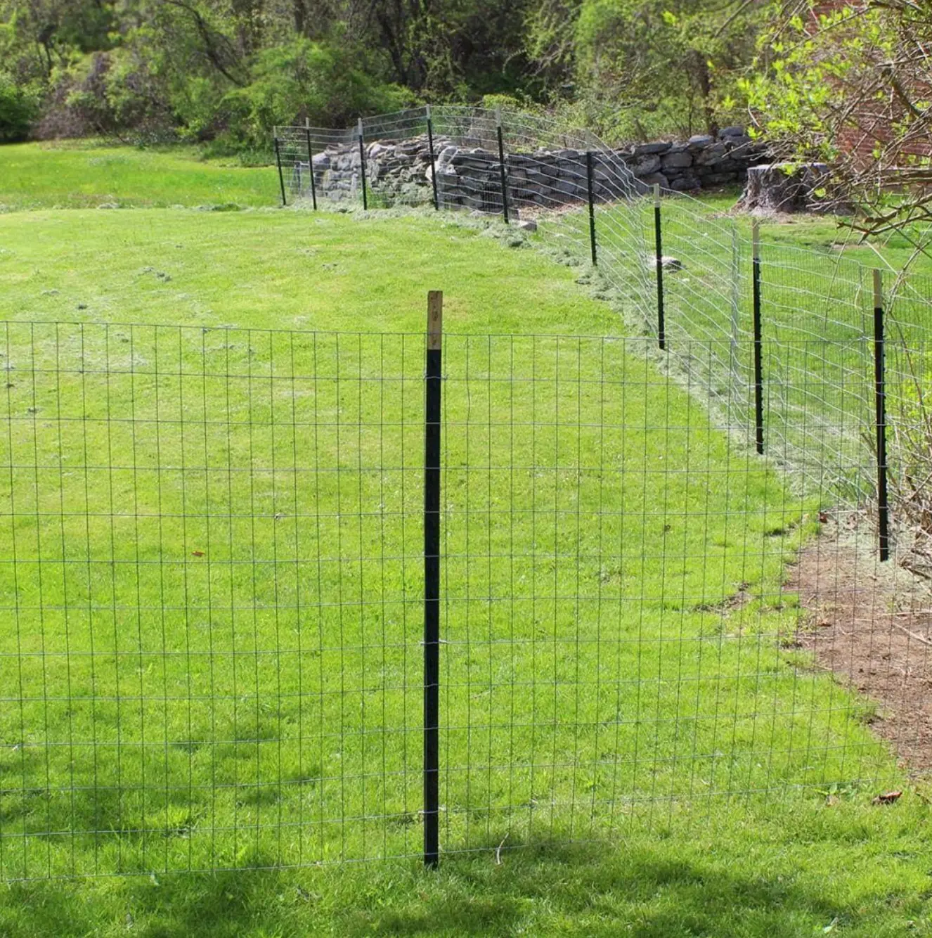 Cleared lawn along a wire fence line