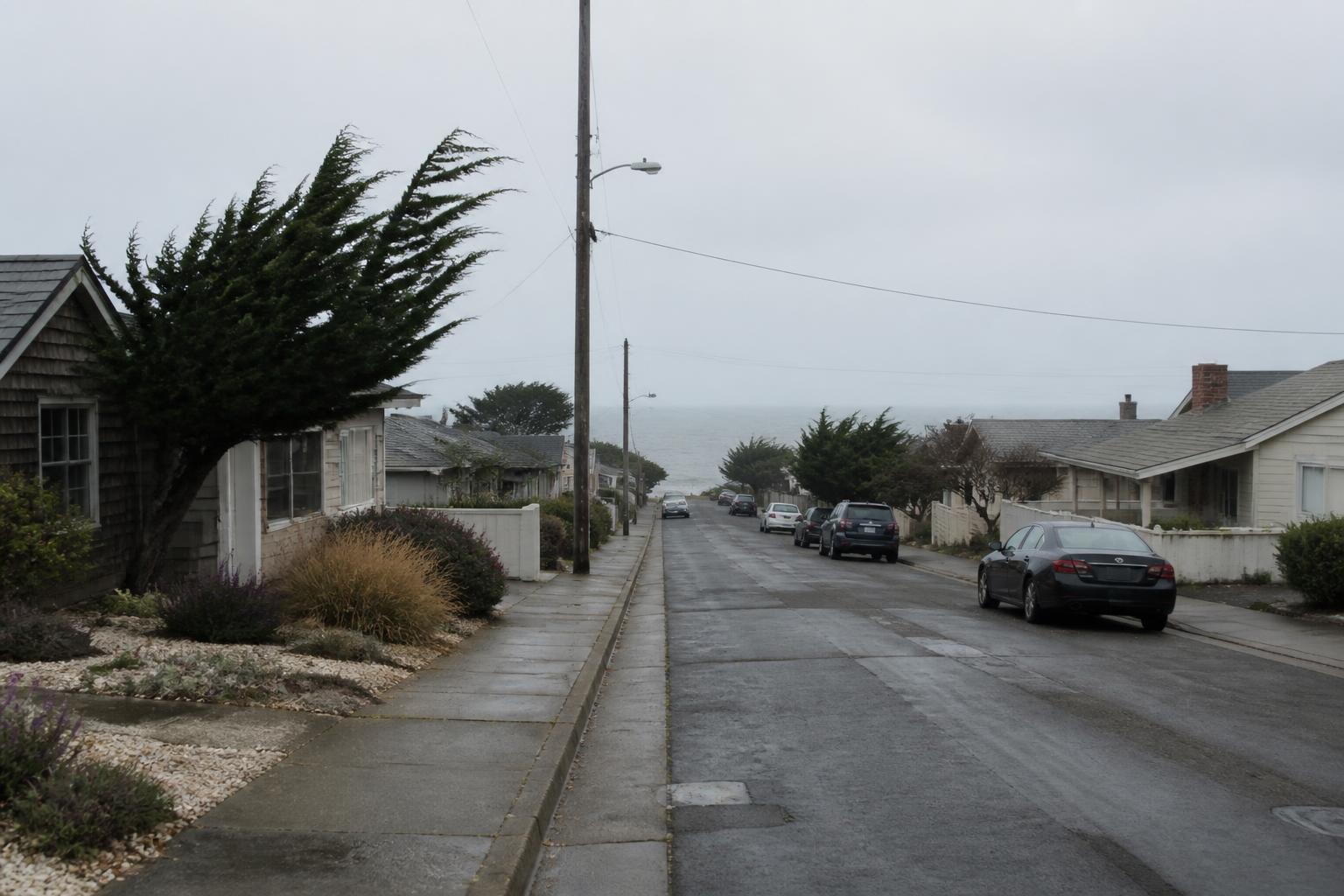 Coastal Santa Cruz neighborhood street near the water