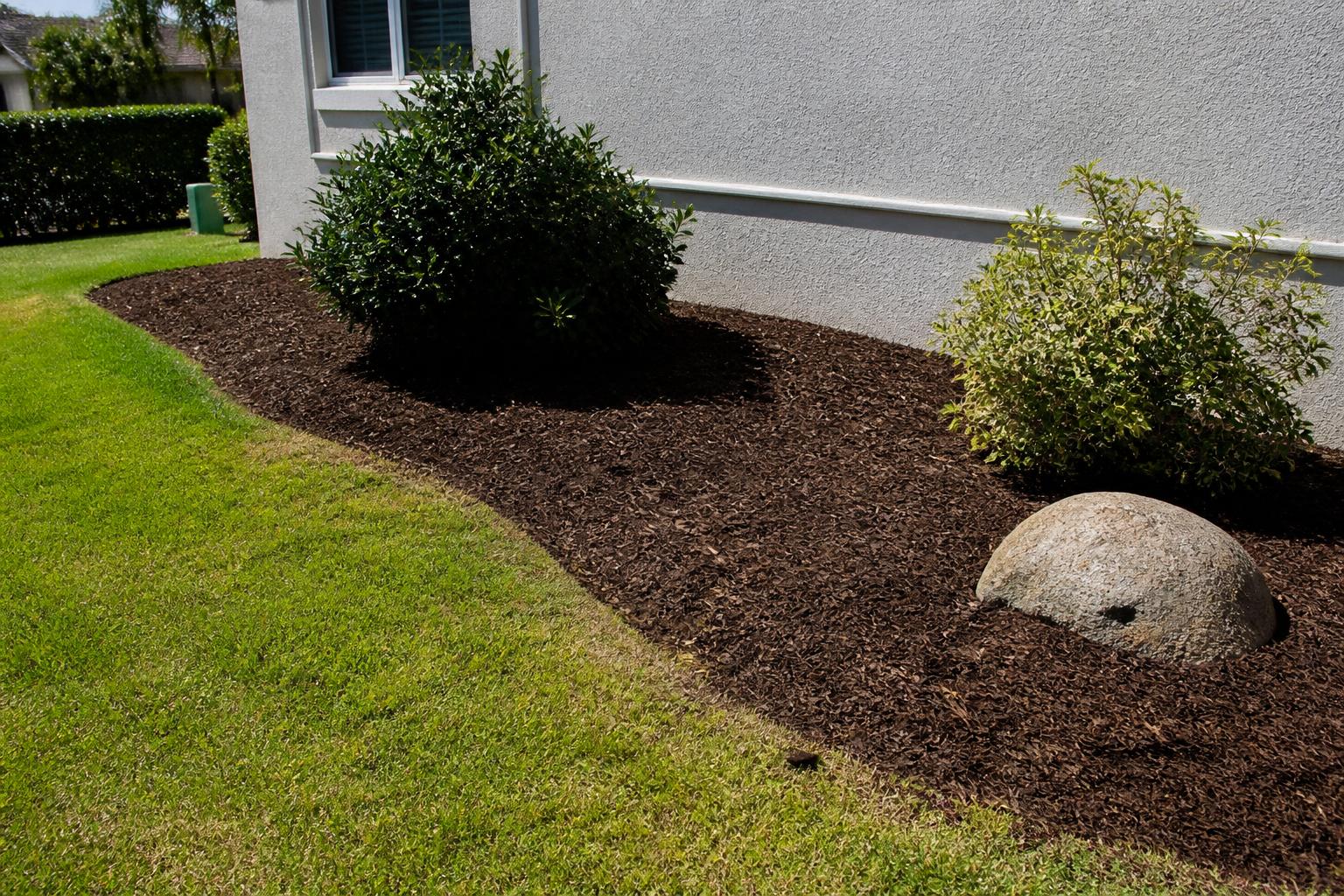 Deep fresh mulch bed with a decorative boulder beside a lawn