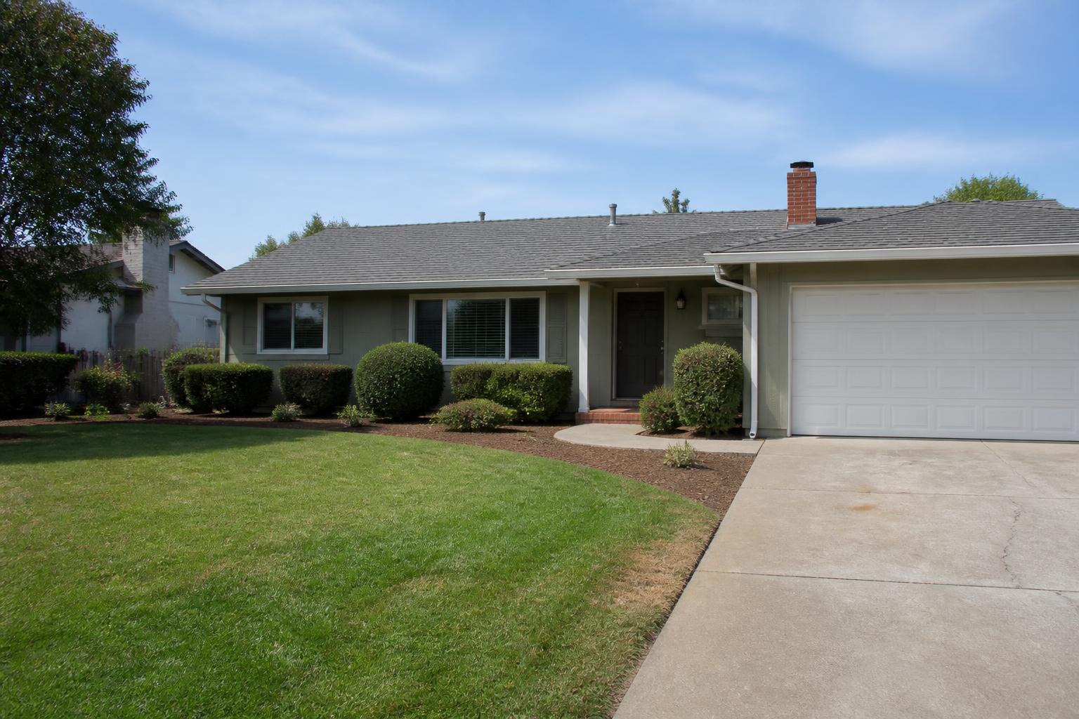 Front yard tidied up with shaped shrubs after a full clean up