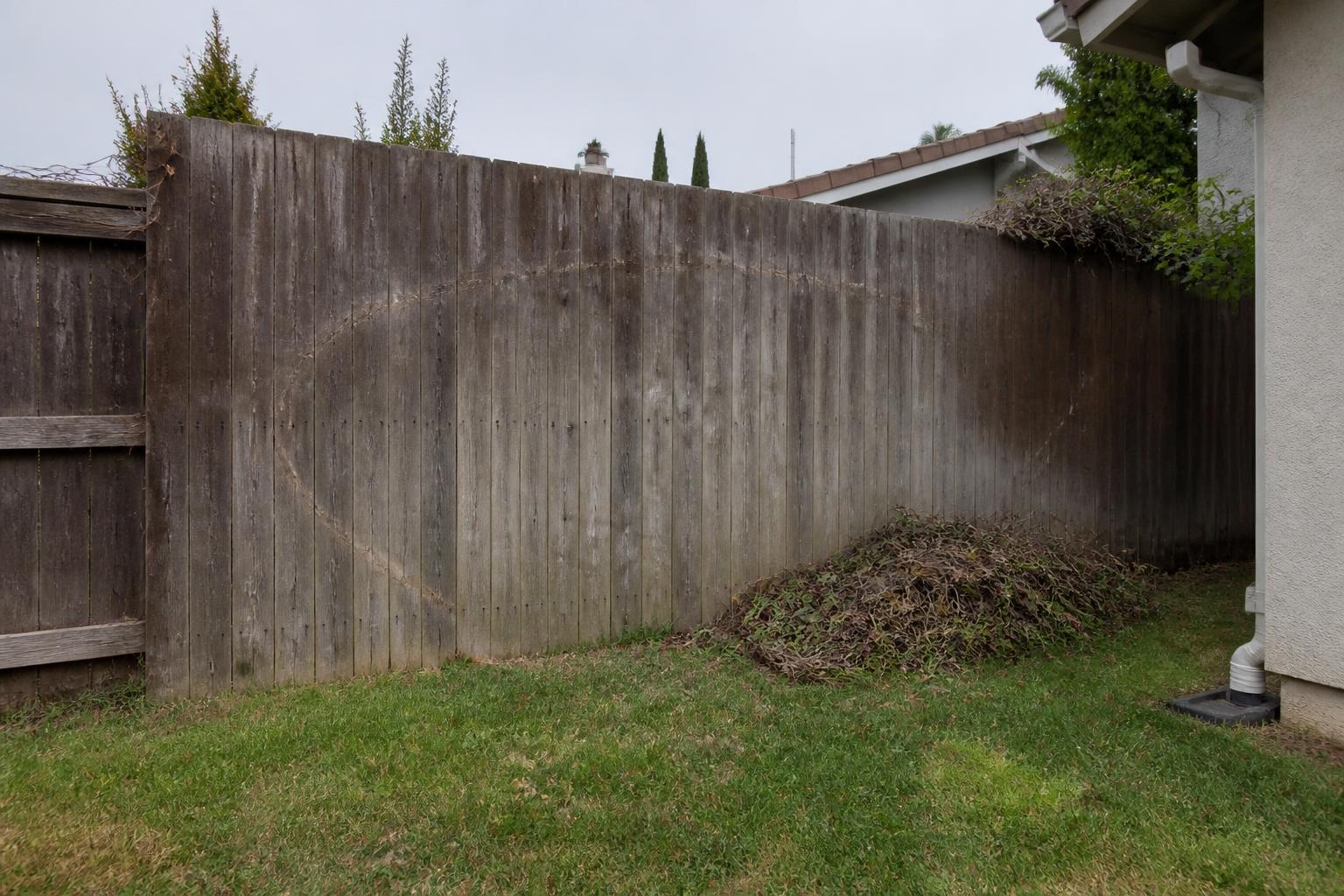 Fence line cleared of climbing vines with the growth hauled away